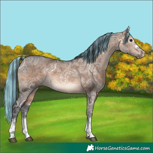 Horse Color:Painted Brown Ice Dun 