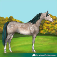 Horse Color:Painted Brown Ice Dun 