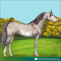 Horse Color:Painted Brown Ice Dun 