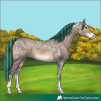Horse Color:Painted Brown Ice Dun 