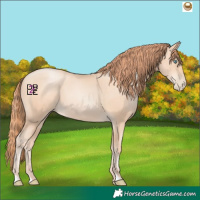 Horse Color:Amber Champagne Pearl