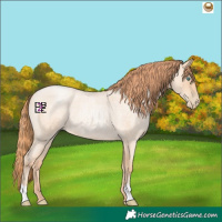 Horse Color:Classic Champagne Roan Pearl 