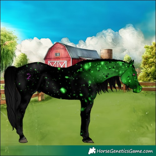 Horse Color:ERROR: UNKNOWN ANOMALY