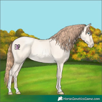 Horse Color:Sable Cream Champagne Pearl Dun 