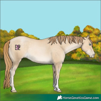 Horse Color:Smoky Black Pearl Mushroom Rabicano 