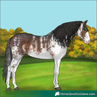 Horse Color:White Spotted Brown Mushroom 