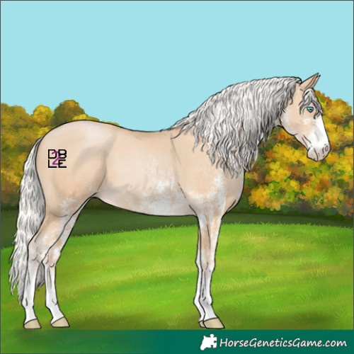 Horse Color:White Spotted Silver Smoky Black Pearl Rabicano