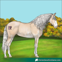 Horse Color:White Spotted Silver Smoky Black Pearl Rabicano 