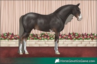 Horse Color:Liver Chestnut Mushroom 