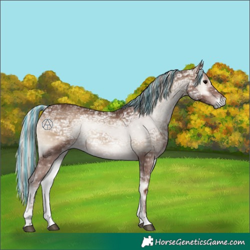 Horse Color:Painted Silver Blue Onyx Ice 
