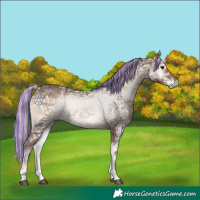 Horse Color:Painted Silver Blue Onyx Ice 
