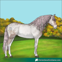 Horse Color:Painted Silver Blue Onyx Ice Rabicano 
