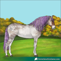 Horse Color:Painted Silver Blue Onyx Ice 