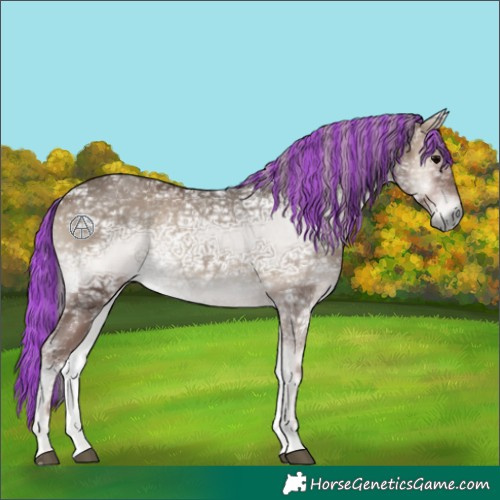 Horse Color:Painted Silver Blue Onyx Ice Rabicano