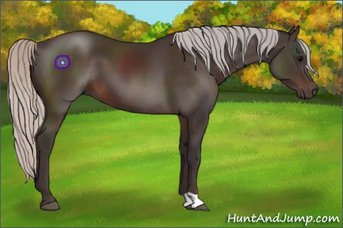 Horse Color:Silver Brown