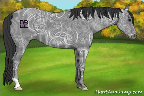 Horse Color:Black Ice