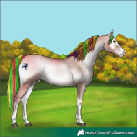 Horse Color:Platinum Painted Bay Pearl Onyx