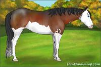 Horse Color:Brown Splash