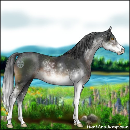 Horse Color:Brown Sabino