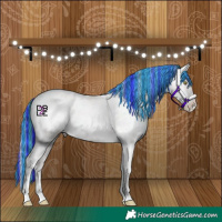 Horse Color:Platinum Painted Amber Champagne Dun Tobiano Snowcap