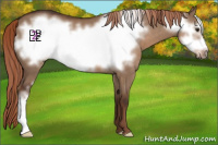 Horse Color:Liver Red Dun Frame 