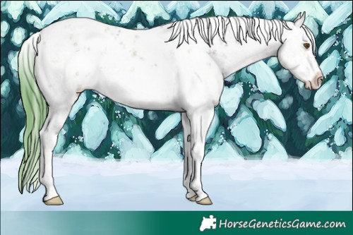 Horse Color:Watercolor White Spotted Classic Cream Champagne Sabino 