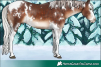 Horse Color:White Spotted Chocolate Silver Brown Splash Tobiano