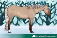 Horse Color:Silver Bay Dun 