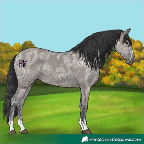 Horse Color:Grullo Ice Rabicano 