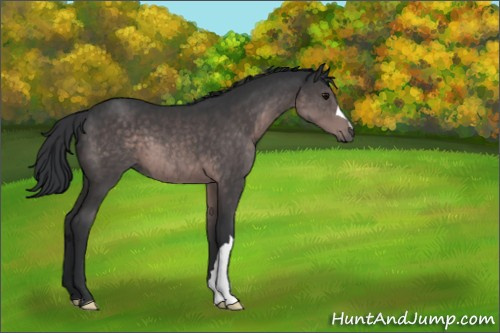 Horse Color:Platinum Brown 