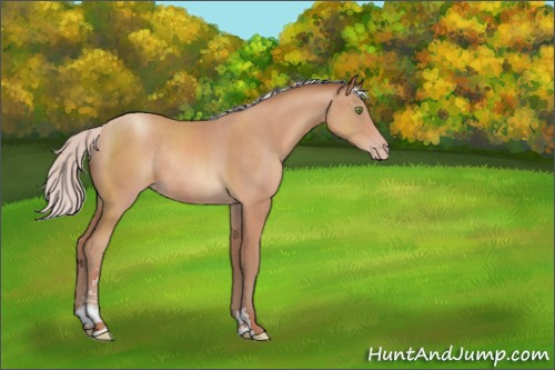 Horse Color:Silver Sable Champagne Sabino Rabicano