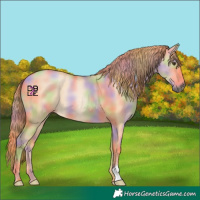 Horse Color:Nacre Red Dun 