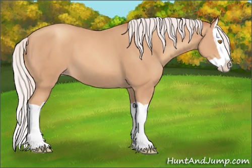Horse Color:Silver Classic Champagne Splash 