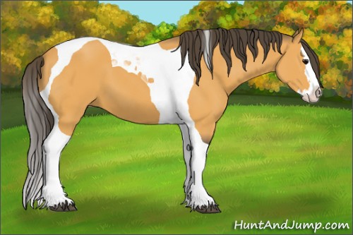 Horse Color:Buckskin Splash Tobiano 