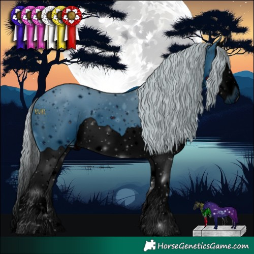 Horse Color:ERROR: UNKNOWN ANOMALY