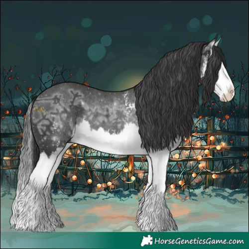 Horse Color:Black Ice Sabino Splash Rabicano 