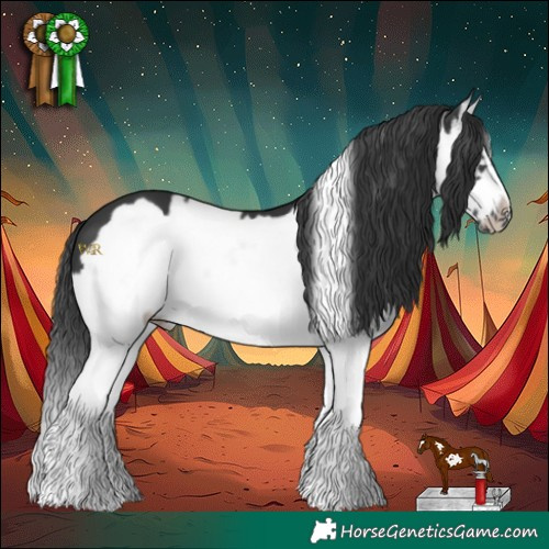 Horse Color:Black Splash Frame 
