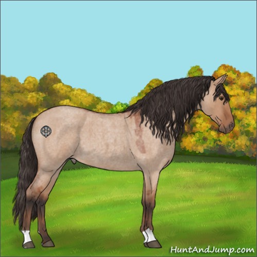 Horse Color:Brown Roan Dun 