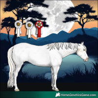 Horse Color:White Spotted Silver Buckskin Dun Splash Tobiano Blanket Rabicano 