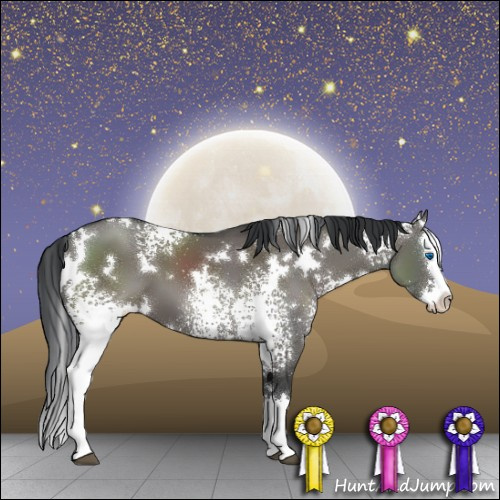 Horse Color:White Spotted Grullo Splash