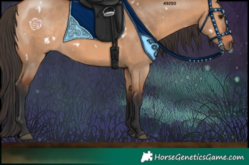 Horse Color:White Spotted Bay Dun 