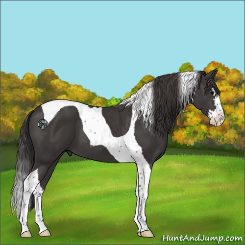 Horse Color:Smoky Black Splash Tobiano 