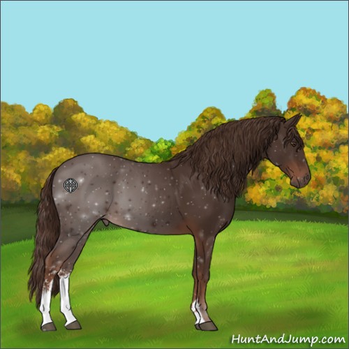 Horse Color:Liver Chestnut Sabino 