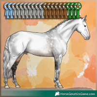 Horse Color:Gray White Spotted Silver Brown