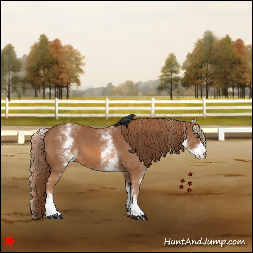 Horse Color:White Spotted Chestnut