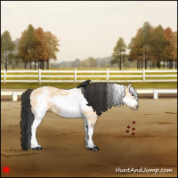 Horse Color:White Spotted Bay Dun Frame 