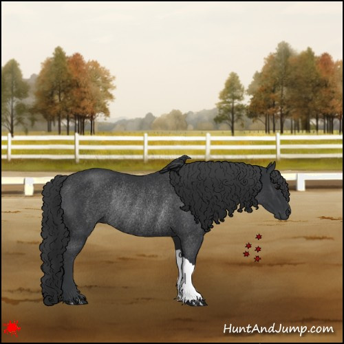Horse Color:Black Rabicano 