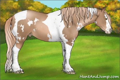 Horse Color:White Spotted Liver Chestnut Pearl Splash Tobiano 