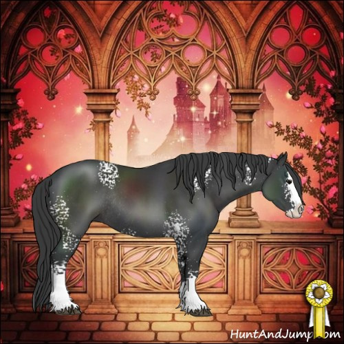 Horse Color:White Spotted Black Splash Rabicano 