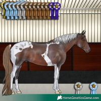Horse Color:Liver Chestnut Tobiano 